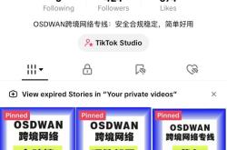 国内手机如何安装TikTok？